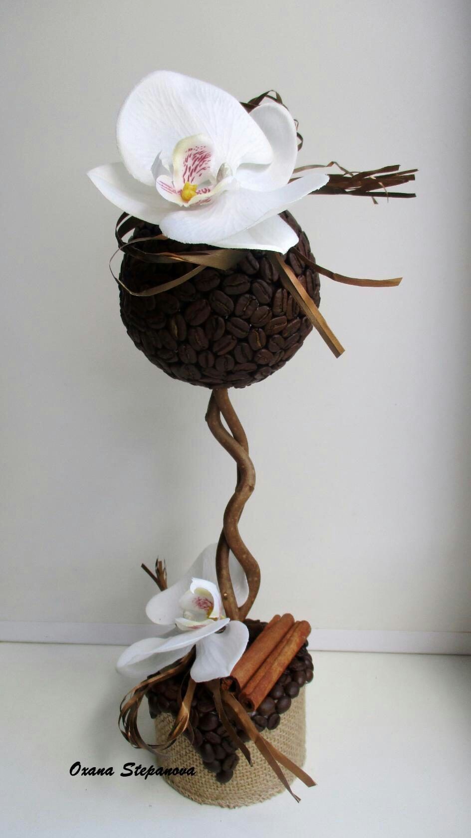 How to make a topiary yourself from coffee beans How to make a topiary yourself from coffee beans