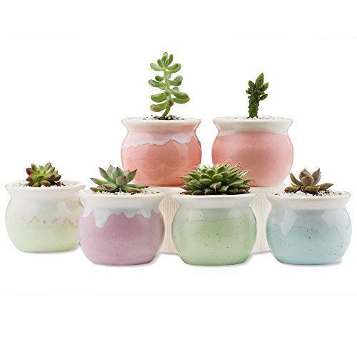 Mkono Set von 6 Keramik Sukkulenten Pflanzgefäße Kleine Pflanzen Töpfe für Z...