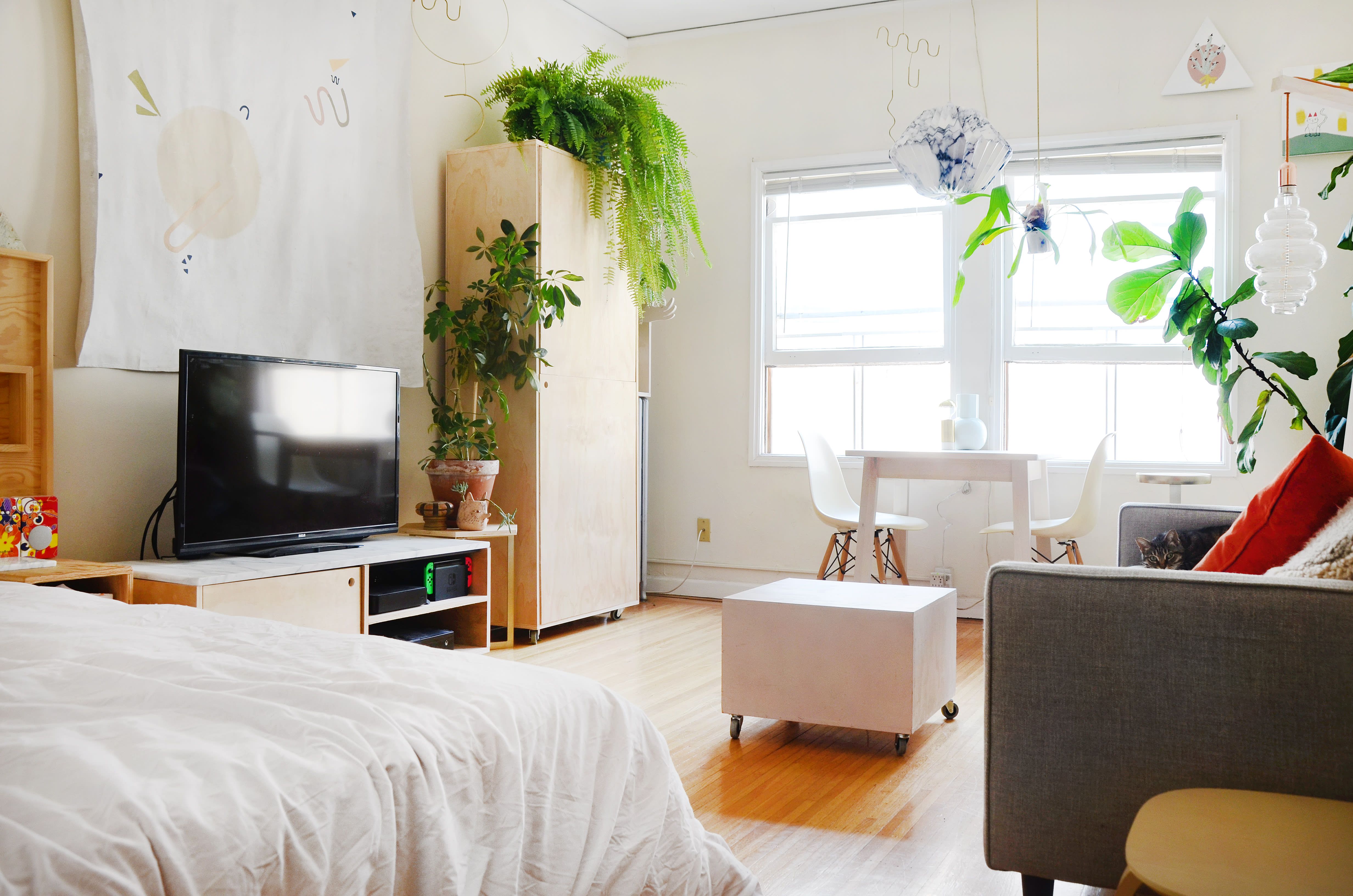 A 400-Square-Foot Studio Makes Plywood Look Magical ...