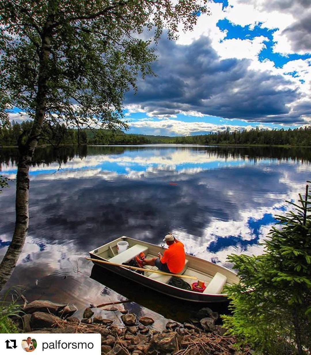 Otter fishing. #reiseliv #reisetips #reiseblogger #reiseråd #Repost @palforsmo (@get_repost) Oterfiske i de dype skoger - Otter fishing in the deep forests #turistforeningen #bns_norway Instagram Feed, Instagram Posts, Otters, Repost, Otter
