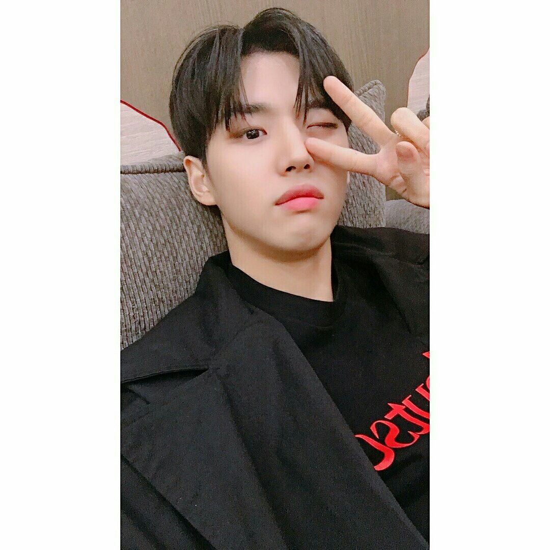 pentagon yang hongseok pentagon hongseok pentagon pentagon members pentagon yang hongseok pentagon hongseok pentagon pentagon members