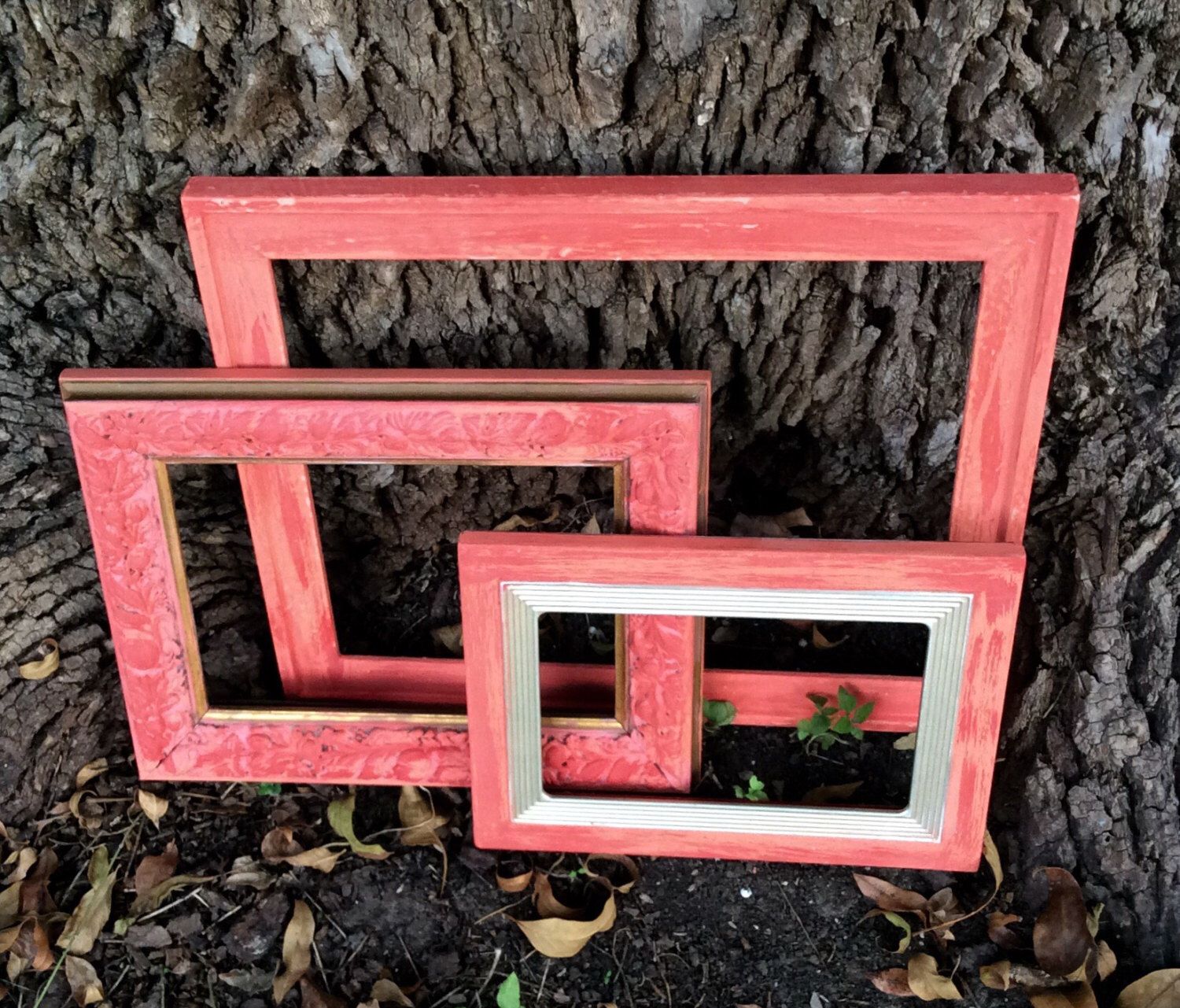 Coral & Gold Ornate Picture Frames, Set Of 3 Coral Coral & Gold Ornate Picture Frames, Set Of 3 Coral