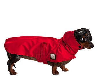 Miniature Dachshund Dog Rain Coat Raincoat Rain Slicker