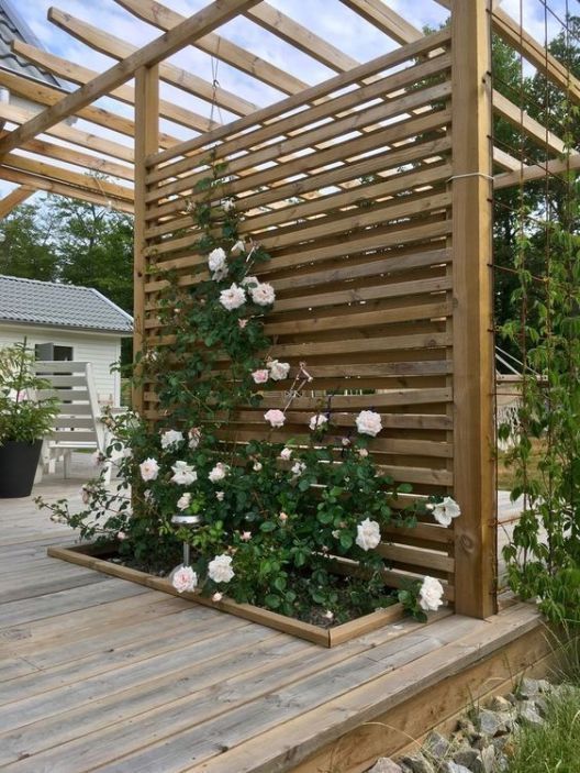 25+ Fascinating DIY Backyard Pergola Ideas for a Cozy Home