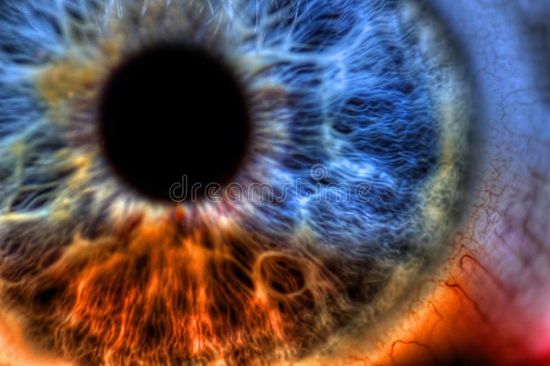 Eye. Abstract extreme close up shot. Beautiful eye colored by a rainbow of color...