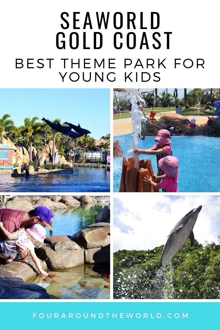 Seaworld Gold Coast: The Best Theme Park for Toddlers