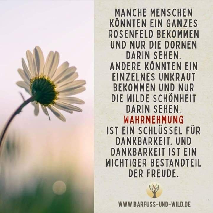 Nicht die Glücklichen sind dankbar. Es sind die Dankbaren, die