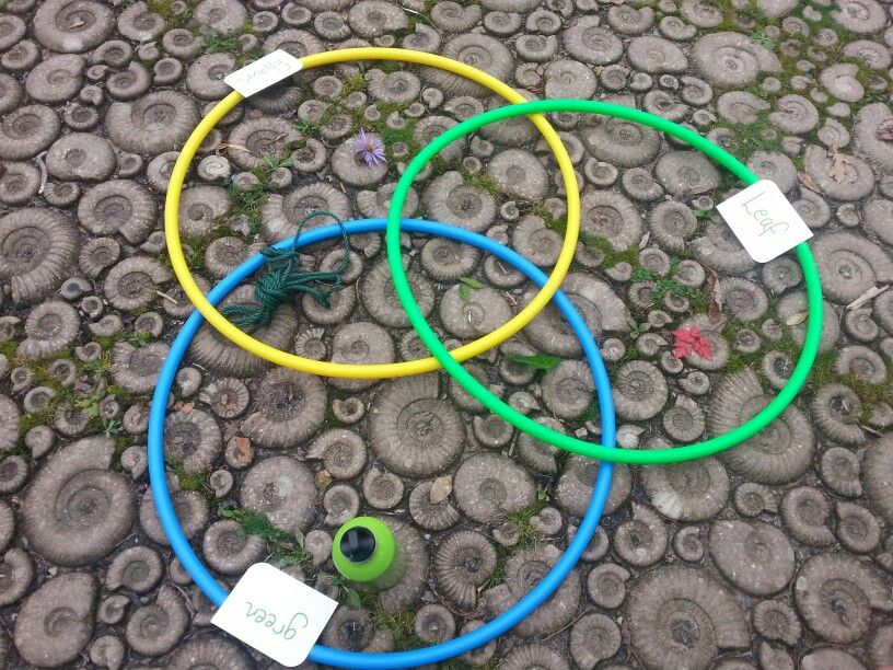 Outdoor Venn Diagram 2 Outdoor Learning Spaces, Venn Diagram, Tennis