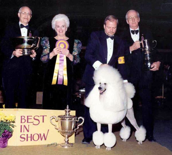 1991 Ch Whisperwind On A Carousel Poodle Standard Bis At