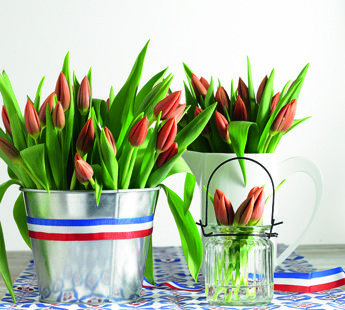You will find the most beautiful Dutch flowers at Jumbo!