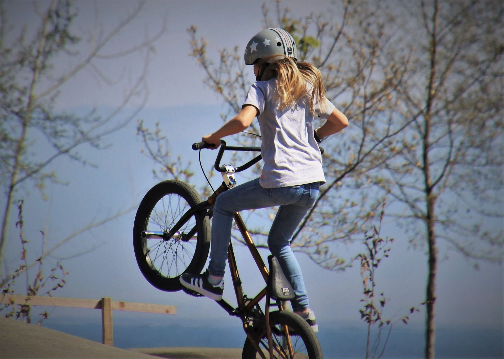 Bmx Brands Bmx Brands Best Bmx Bmx Bike Brands