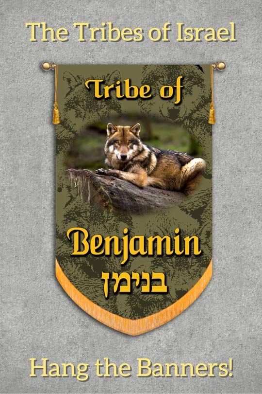 Pin On Banner Sets Pin On Banner Sets