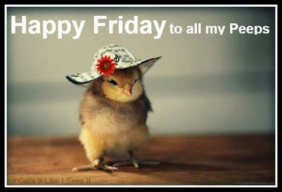 Friday Humor Animal Funny Friday Is Here Friday Funny