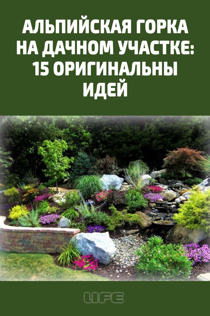Обычные клумбы давно не в тренде. Поэтому любители декоративных растений все чаще отдают предпочтение оригинальным цветникам. Самые популярные из них – альпинарий и рокарий. Как же обустроить такую красоту? #дача #альпийскаягорка #оформлениедачногоучастка Water Garden, Stepping Stones, Outdoor Decor, Flowers, Plants, Rock, Stair Risers, Skirt, Locks