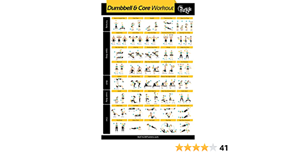 Shop My Fit Life Gym Dumbbell and Core Workout Poster Laminated : Illustrated Guide with 40 Exercises for Full Body and Core : Hang in Your Home or Gym, for Men & Women, 24” x 36". Free delivery and returns on all eligible orders. Dumbbell Workout, Leg Workout, Core Workout, Gym Workouts, Free Amazon Products, Local Products, Gym Dumbbells, Chest Workout Routine, Gym Poster