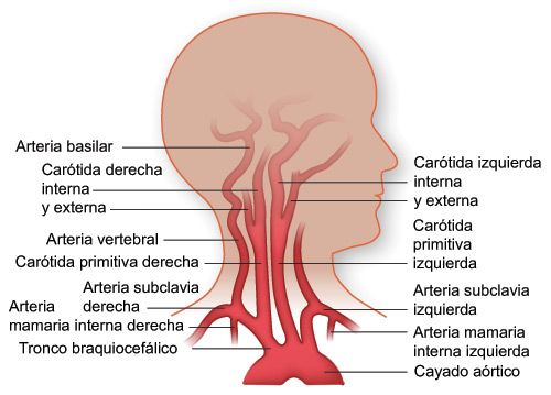 Dolor de cuello parte superior de la cabeza