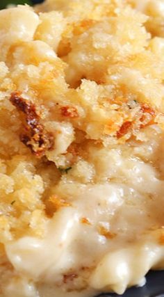 Five Cheese Baked Macaroni and Cheese - The Suburb Five Cheese Baked Macaroni and Cheese - The Suburb