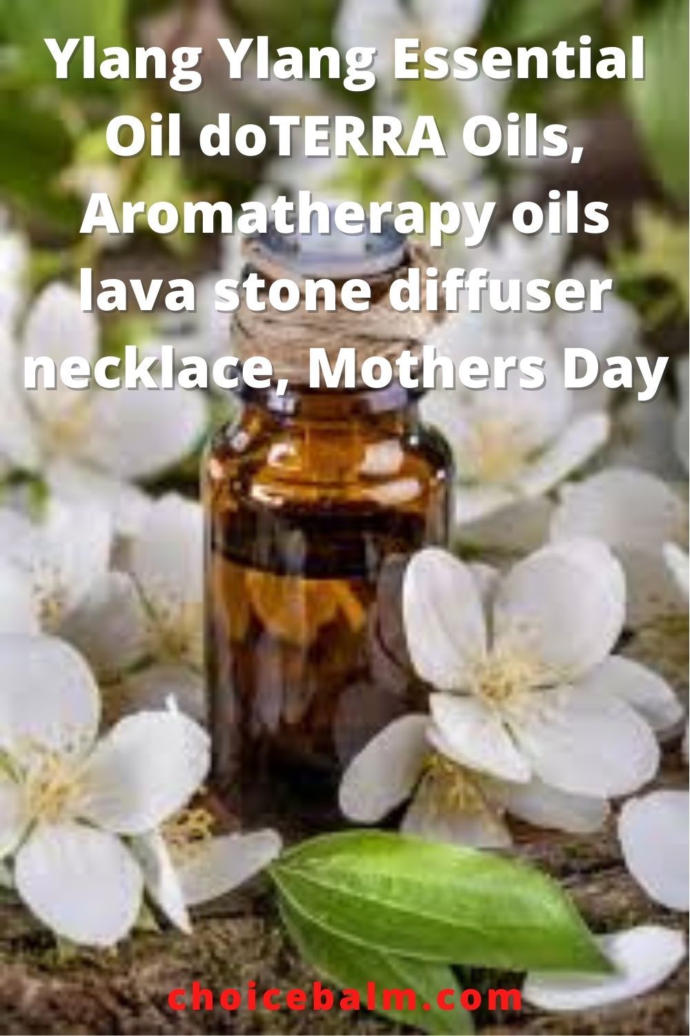 #essentialoil #essentialoils #youngliving #essenzo #aromatherapy #younglivingindonesia #minyakatsiri #diffuser #yleo #natural #younglivingessentialoils #essenzoessentialoil #aromaterapi #wellness #sehatalami #essenzoindonesia #jualyoungliving #healthylifestyle #herbal #younglivingjakarta #lavender #skincare #jualessentialoil #health #younglivingessentialoil #praktis #kesehatan #organic #doterra #bhfyp Lilac Essential Oil, Gardenia Essential Oil, Ylang Ylang Essential Oil, Thyme Oil, Oregano Oil, Rosemary Oil, Sweet Fragrances, Sweet Scents, Frankincense Oil