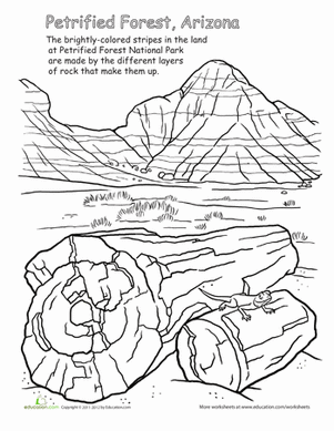 Image Result For Petrified Forest National Image Result For Petrified Forest National
