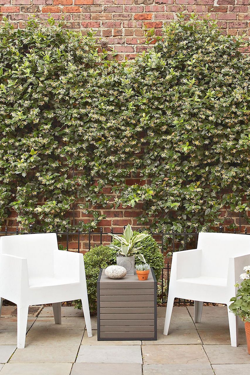 How To Clean Mold Off Every Type Of Outdoor Furniture In 2020 Outdoor Furniture Outdoor Furniture Sets Furniture