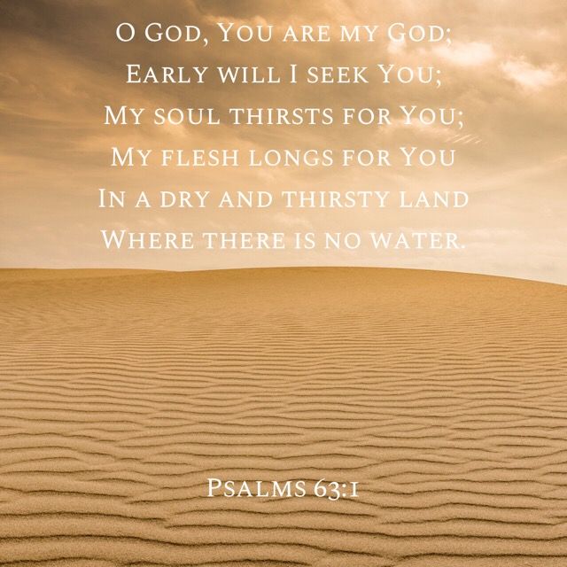 Psalms 63 1 NKJV O God You Are My God Early Will I Seek You My psalms-63-1-nkjv-o-god-you-are-my-god-early-will-i-seek-you-my