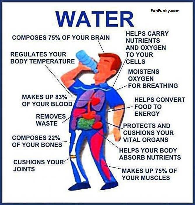 Drinking Only Liquids To Lose Weight Drinking Only Liquids To Lose Weight