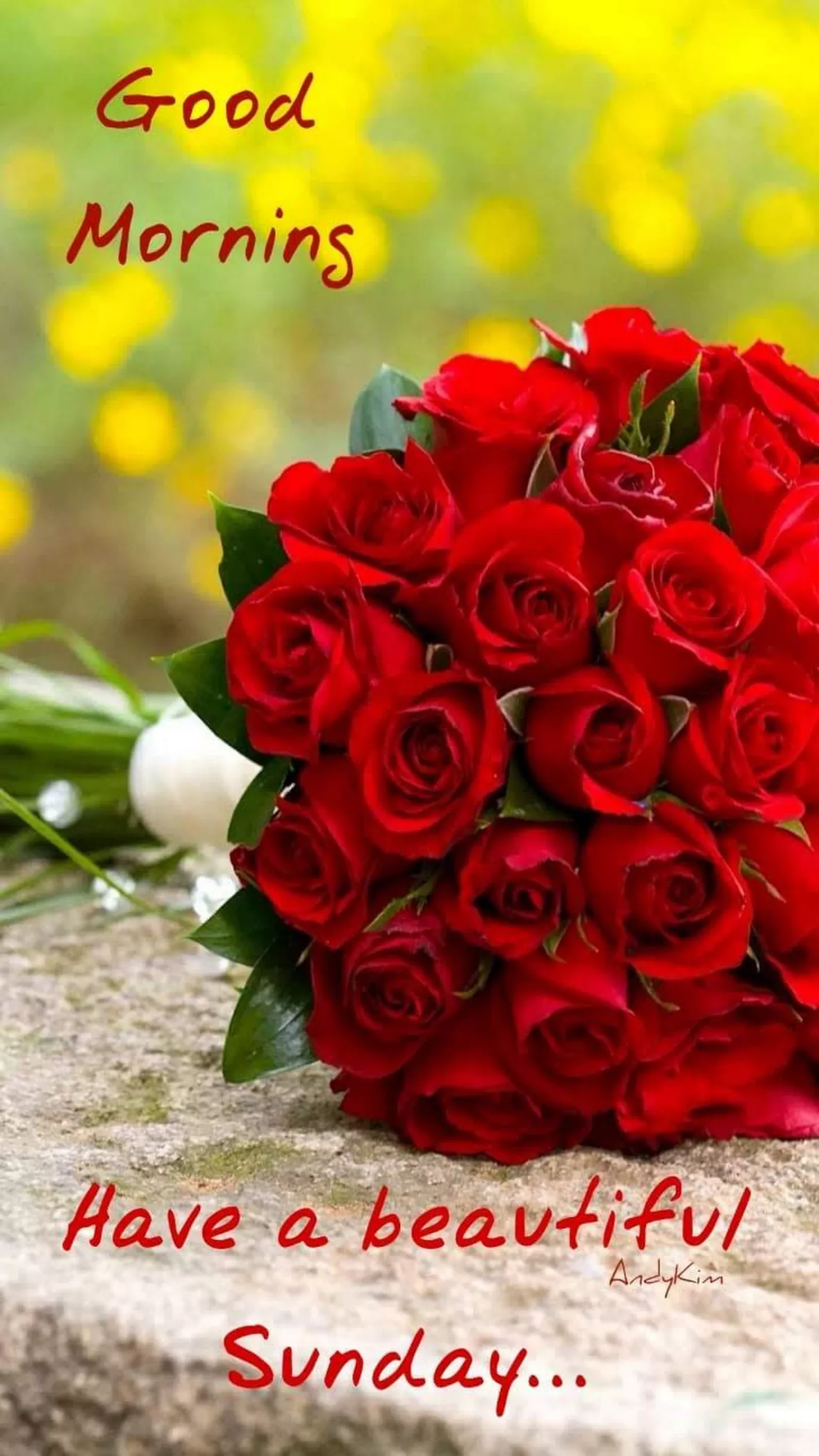 Enchanting Good Morning Beautiful People Enchanting Good Morning Beautiful People