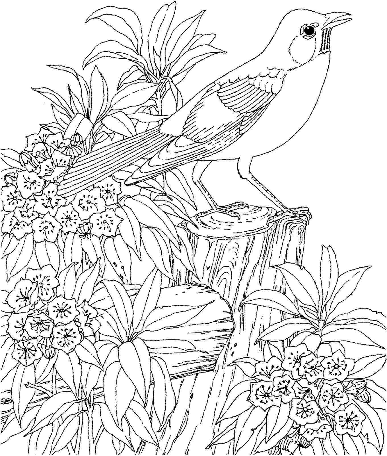 Dessin A Colorier Pour Adulte Gratuit Imprimer Coloriage En Ligne Coloriage En Ligne Gratuit Pour Adultel L Dessin A Colorier Pour Adulte Gratuit Imprimer Coloriage En Ligne Coloriage En Ligne Gratuit Pour Adultel L