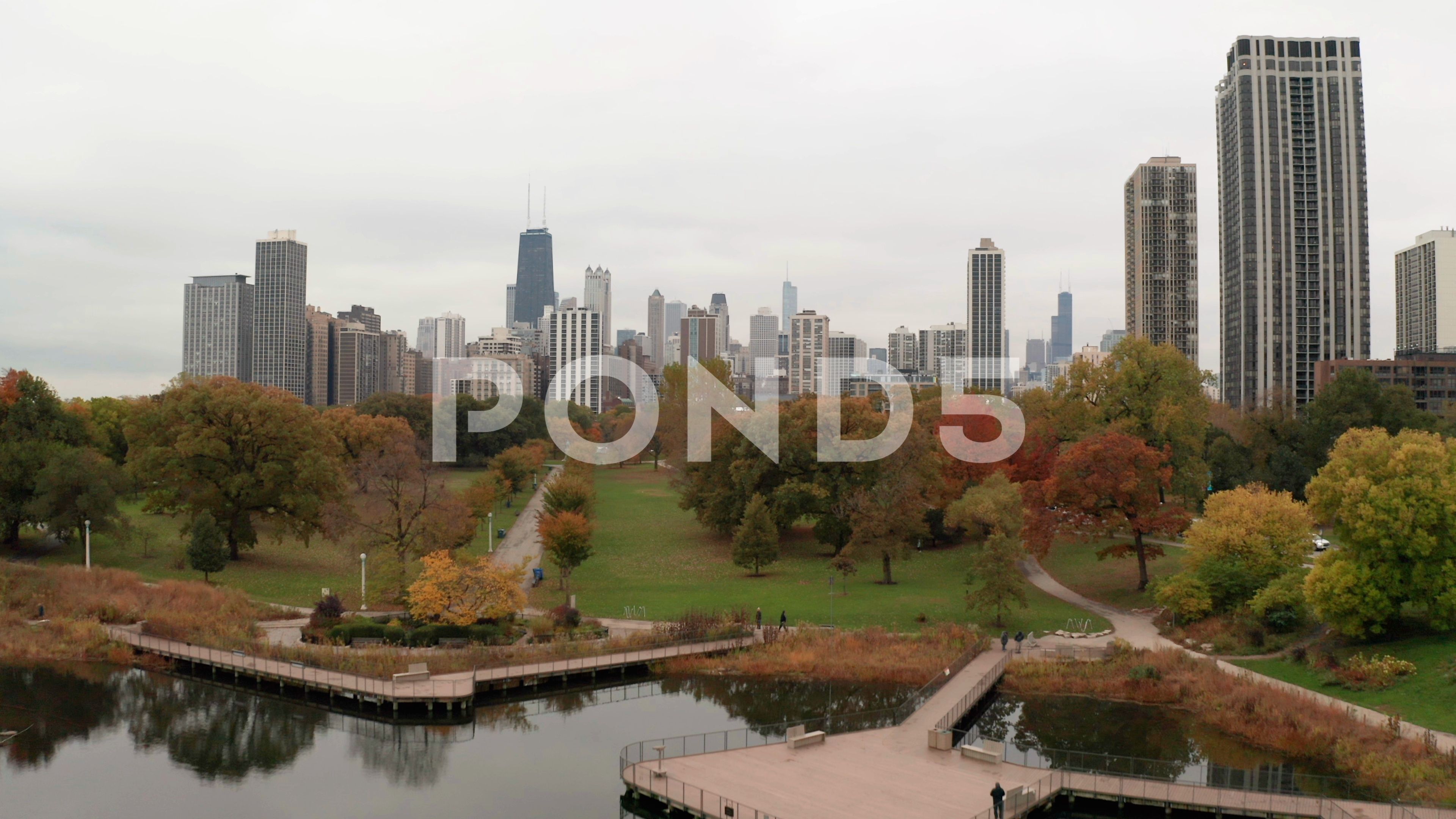 Chicago Downtown Aerial Fall Autumn Foliage Buildings Drone Flying Skyline Stock Footage Ad Fall Autumn Foliage Chicago In 2020 Downtown Chicago Aerial Downtown