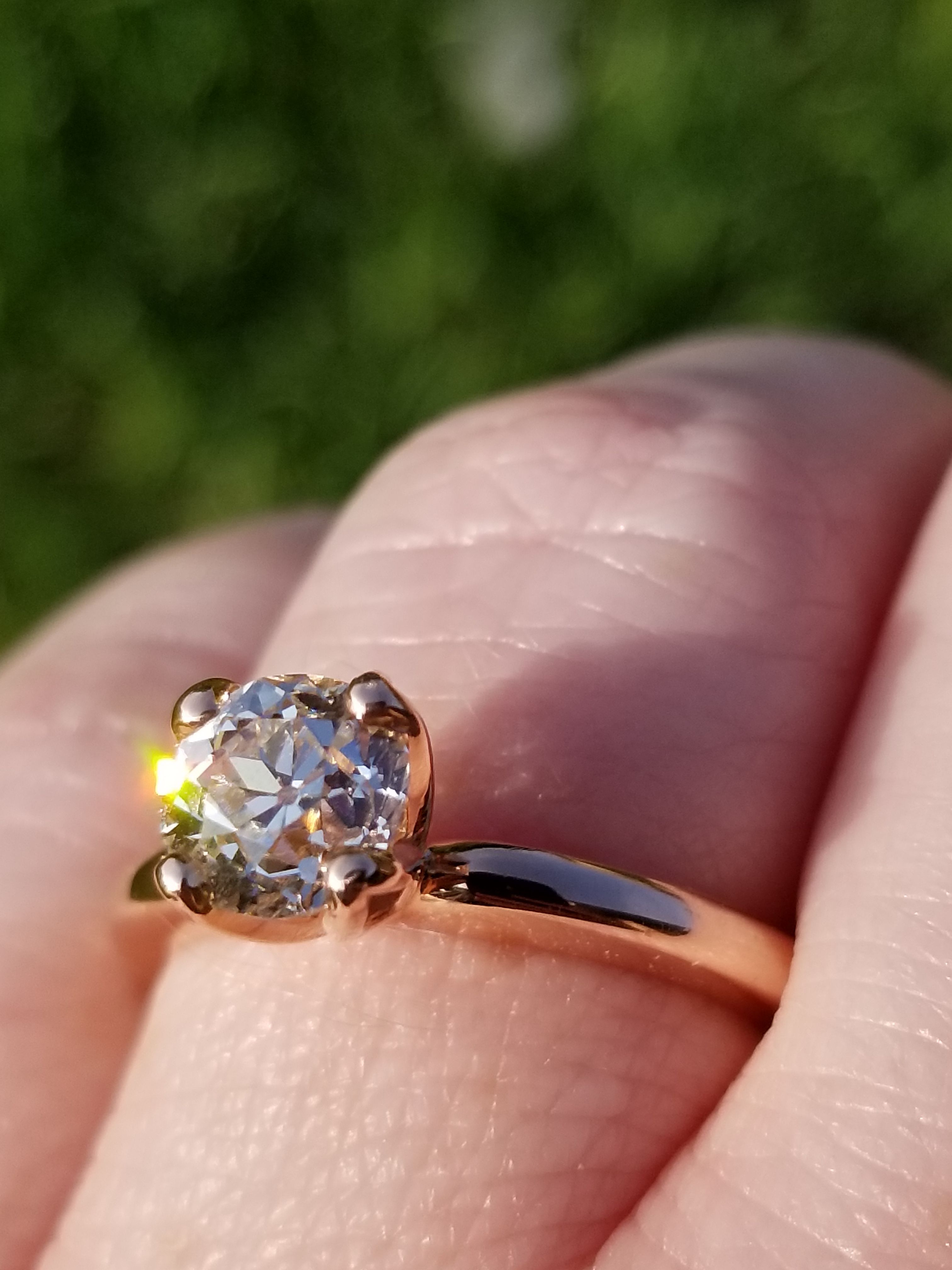 Anyone Want To Show Of Their Rose Gold E ring POLL How Popular Is anyone-want-to-show-of-their-rose-gold-e-ring-poll-how-popular-is