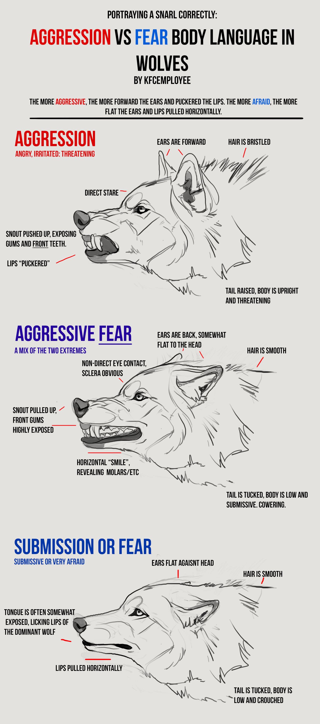 Agression vs Fear in Wolves cheat sheet: Snarls by KFCemployee.deviantart.com on @DeviantArt Anatomy Reference, Art Reference Poses, Drawing Reference, Design Reference, Animal Sketches, Animal Drawings, Drawing Animals, Drawings Of Wolves, Drawing Techniques