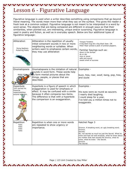Hatchet essay