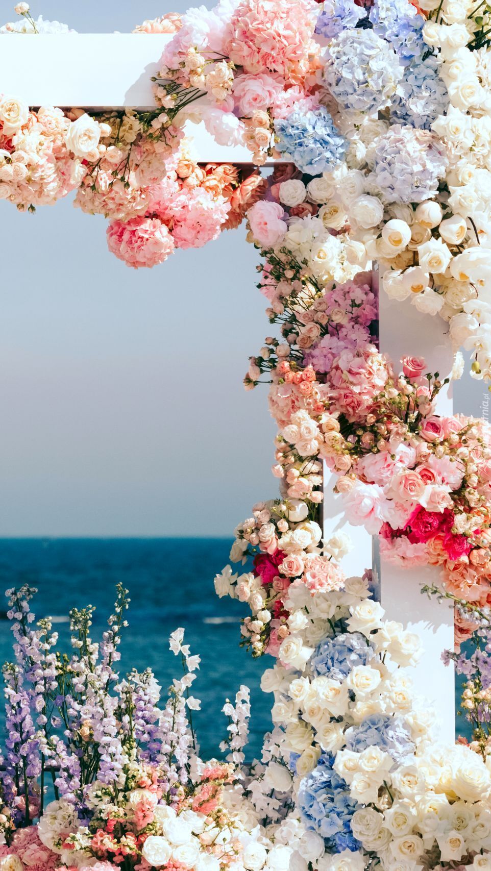 Łuk kwiatowy - Tapeta na telefon Beautiful Flowers Pictures, Beautiful Bouquet Of Flowers, Flower Pictures, Pretty Flowers, Flowers Bouquet, Spring Wallpaper, Pretty Images, Flower Farm, Flower Aesthetic