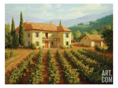 Tuscan Vineyard Print By Roger Williams At Art Com Vineyard Art Tuscan Art Vineyard