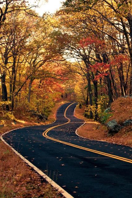 Since Fall is my favorite time of the year, it also reminds me of my favorite rides. Living on back roads, this was my view driving to and from high school. I absolutely loved it!! #fallseason