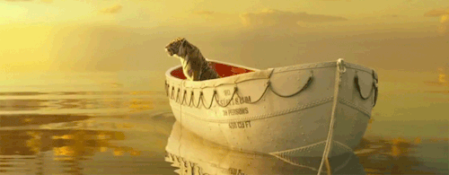 The Greatest .GIFs Of ALL TIME | Greatful, Cinemagraph, Reusable tote bags