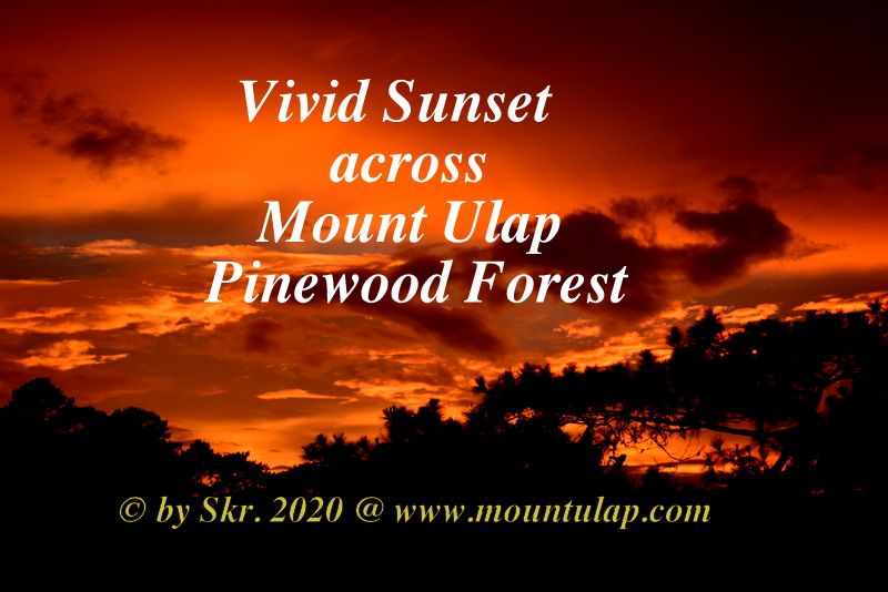 📌 A Weekend hiking at Mount Ulap, 👉 👉 👉 http://www.mountulap.com/sunrise.html 🚩 Swirling clouds in the violet haze a vivid sunset display across Mount Ulap Pinewood Forest Forest ✅High Clouds and exceptional clear air created the perfect condition for a marvelous sunset Weekend Hiking, Hiking Trip, Mother Earth, Mother Nature, High Clouds, Baguio City, Mountain Hiking, Time Travel, Good Times