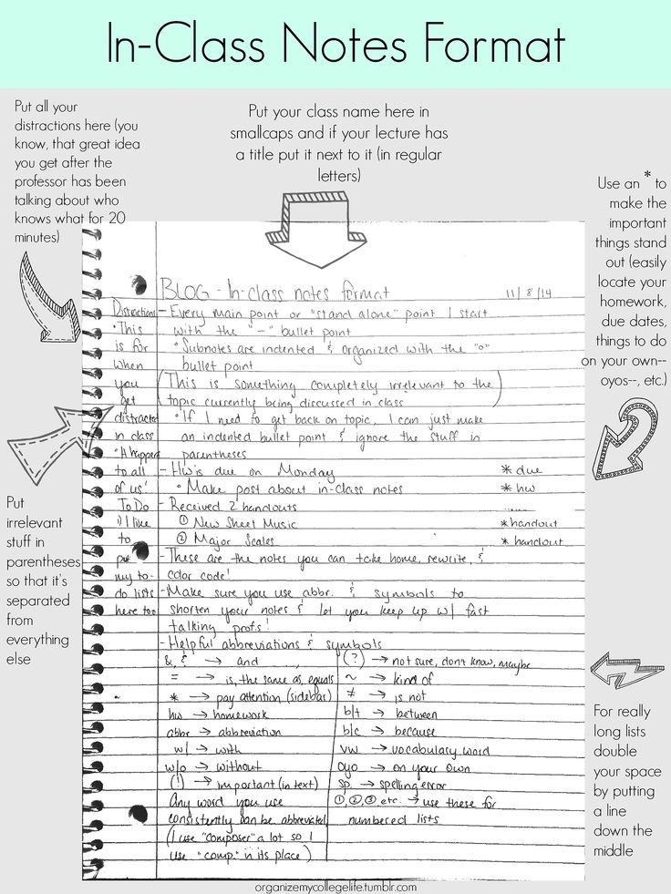 essay example politics responses