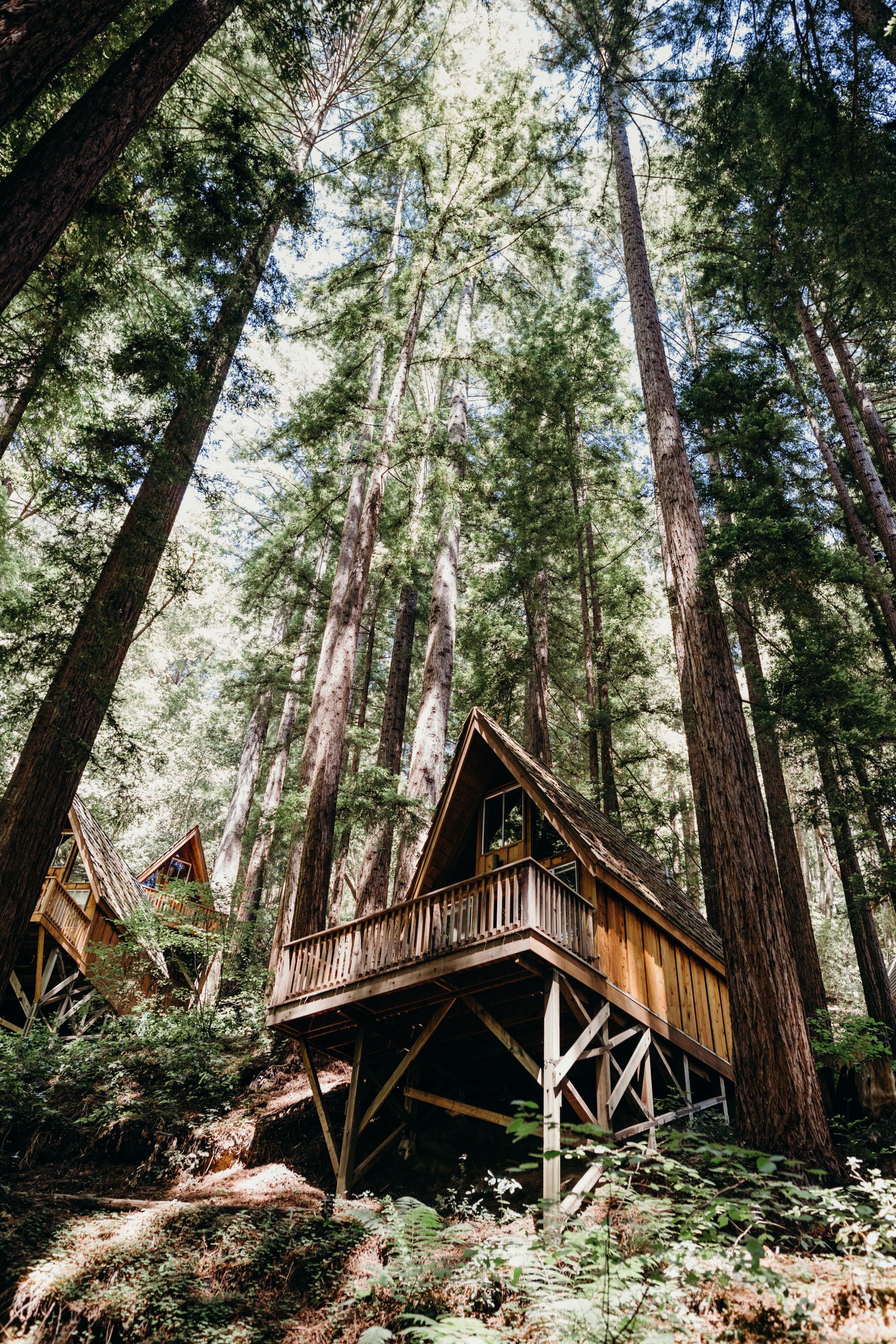 Santa Cruz Wedding Venues Where To Get Married In And Around Waterfall Lodge And Retreat In Ben Lomond California Is A Wedding Venue With Camp Vibe The Santa Cruz Mountains