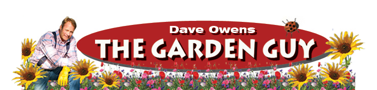 Dave the garden guy planting calendar