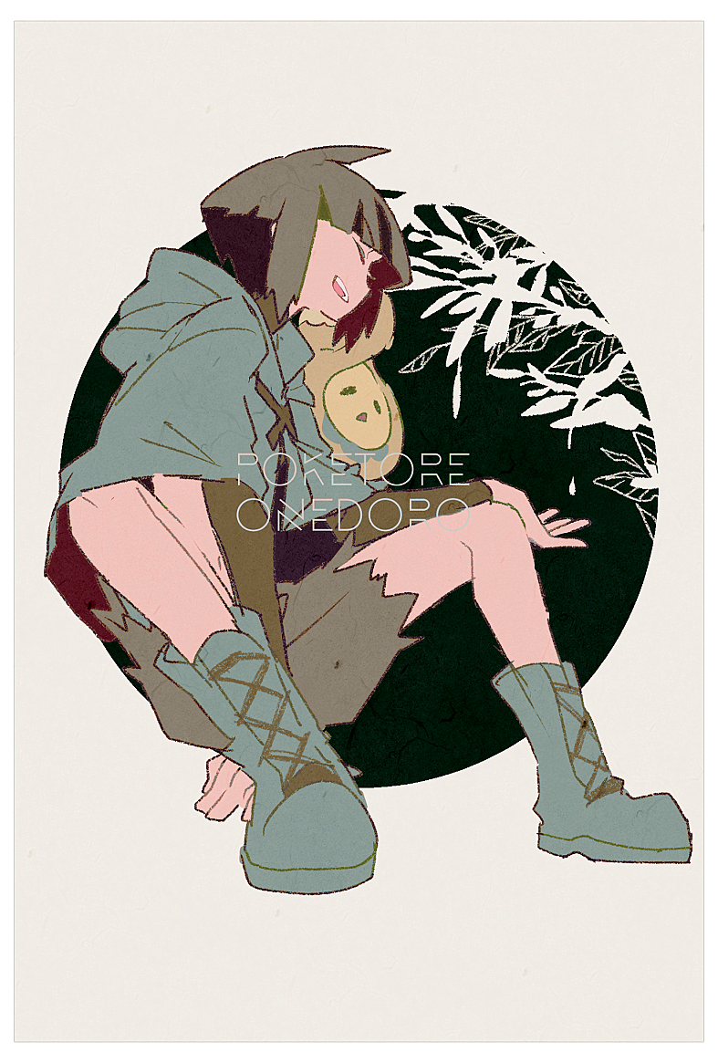 Gardenia Pokemon Anime Character