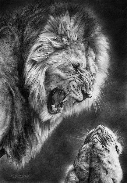 heat of the night artist peter williams fav artists pinterest heat of the night artist peter williams