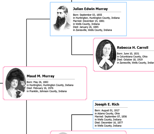 portion of pedigree chart enlarged pedigree chart make a family pedigree chart online