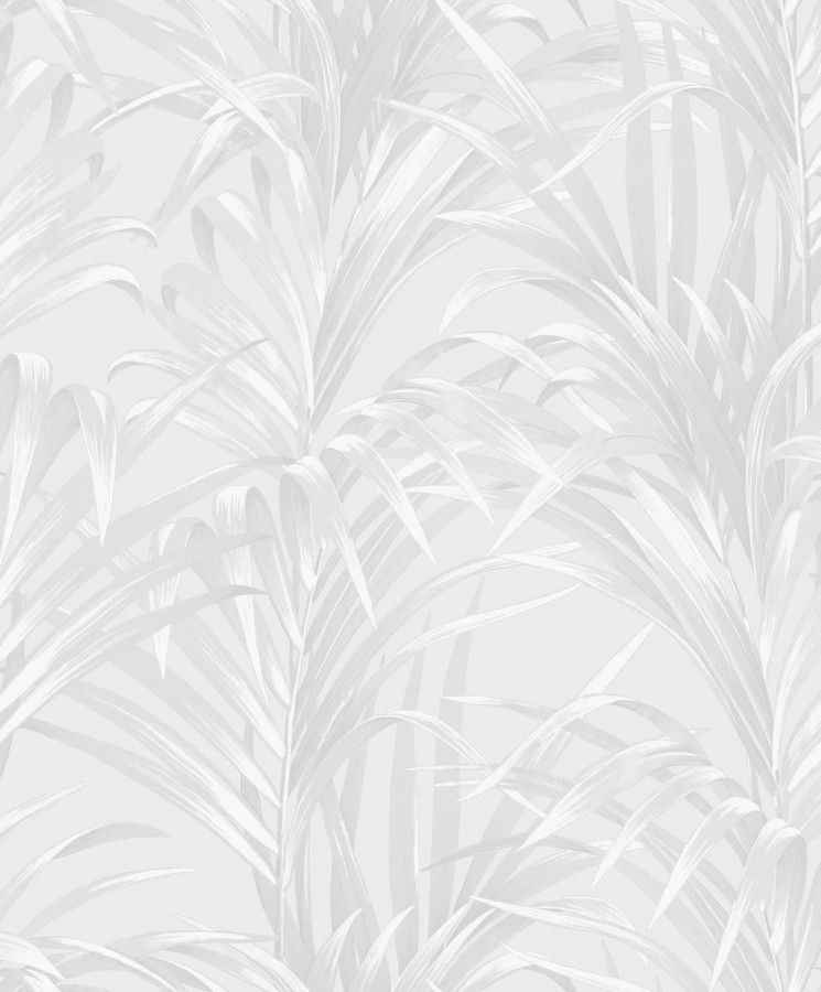 Papel Pintado Hojas De Helecho Con Estilo Líbano 231743 Fondos De Pared Papel Pintado Fondo De Pantalla De Plata