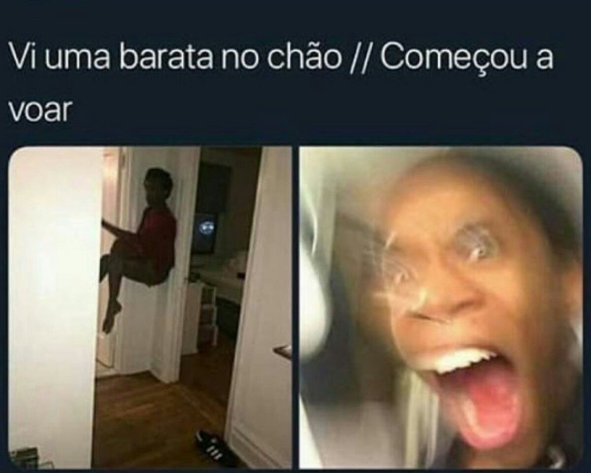www whatsapp com br www whatsapp com br