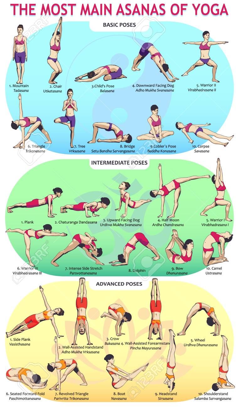 Vector illustration of the 30 most basic yoga post Vector illustration of the 30 most basic yoga post
