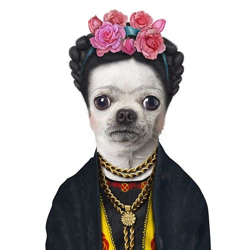 Chihuahua By Elizabeth Hoddevik Chihuahua Art Dog Paintings