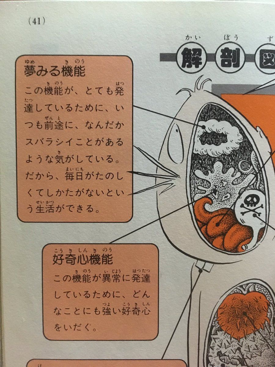 ねずみ男の機能 めちゃくちゃ欲しくない 鴻池 ねずみ 鴻池剛 ねずみ男の機能 めちゃくちゃ欲しくない 鴻池 ねずみ 鴻池剛