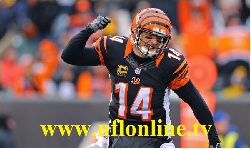 Cincinnati vs Houston live Nfl, Cincinnati, Football helmets Cincinnati vs Houston live Nfl, Cincinnati, Football helmets