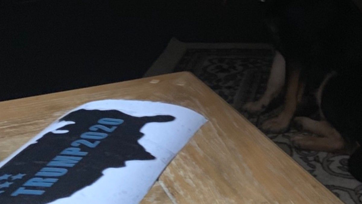 New Cricut Machine 2020 Make your own Trump 2020 sticker using your cricut machine New Cricut Machine 2020 Make your own Trump 2020 sticker using your cricut machine